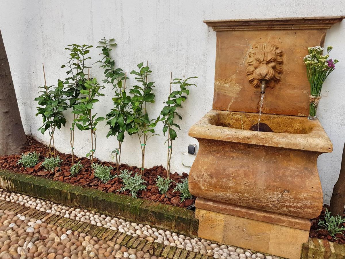Riad Mezquita De Kordoba Bagian luar foto